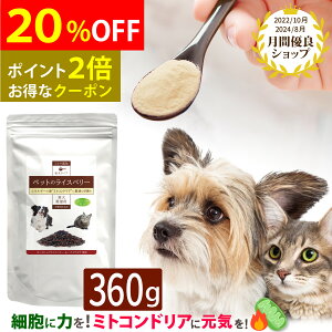 ybg̃CXx[(360g)/ L Tvg hbOt[h hbNt[h  ~gRhA CXx[pE_[ nir^P GlM[ VjA ~N זE C