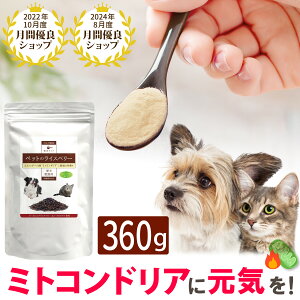 ybg̃CXx[(360g)/ L Tvg hbOt[h hbNt[h  ~gRhA CXx[pE_[ nir^P GlM[ VjA