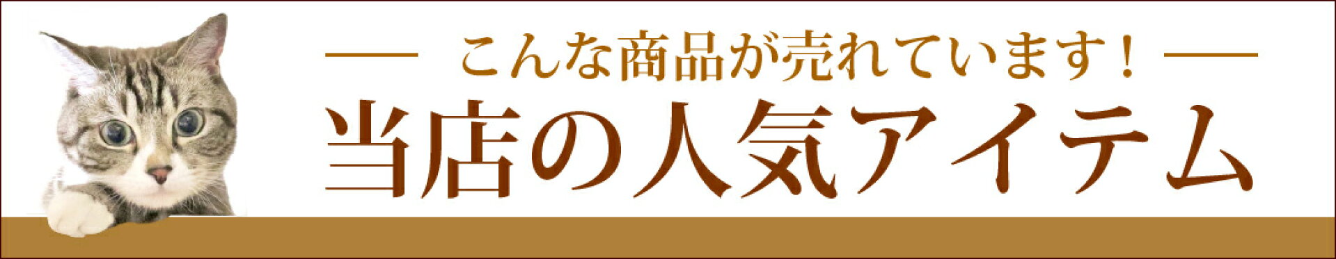 当店の人気アイテム