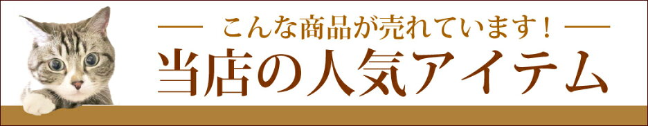 当店の人気アイテム