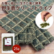 【丹波野生鹿使用】【25g】グリーントライプ（おやつ）犬 猫 トリーツ 鹿 野生鹿 トライプ 腸内環境 腸活…