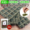 【お試し】【初回限定】丹波野生鹿グリーントライプ 25g/ ドッグ...