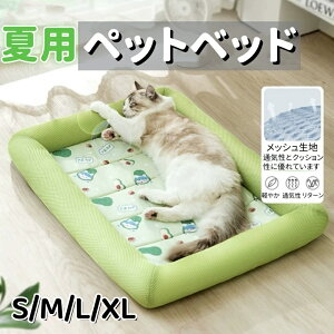 ybgxbh ėp L xbh xbh Ђ}bg N[}bg⊴ p}bg _炩 ybgpi Lp ^ ^ ybgxbh NbV ڐG⊴ ΍  ʋC