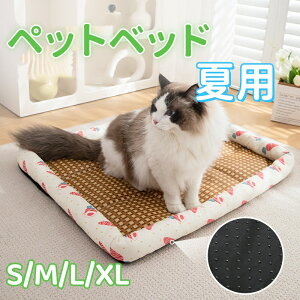 ybgxbh ėp L xbh xbh Ђ}bg N[}bg⊴ p}bg _炩 ybgpi Lp ^ ^ ybgxbh NbV ڐG⊴ ΍  ʋC