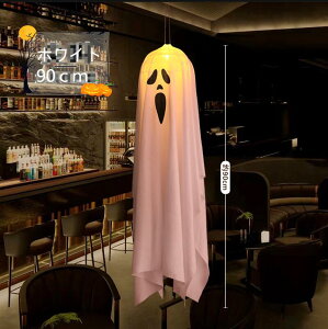 Cg LEDdt dr p[eB[ nEBObY  XgOCg |̕ DIY O  ~  Q  i Xܑ Ɩ HalloweennEB S