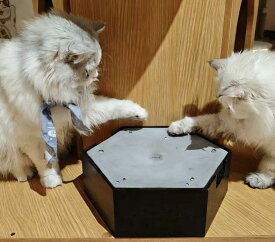 「一部予約販売」電動猫じゃらし 自動水滴インテリア装飾 水滴型 室内猫用 犬用 オフィス リラックス 自宅 オフィス 充電式自動滴下猫おもちゃ 自循環流水ビーズ 一人遊び猫じゃらしインテリア