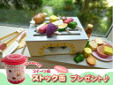 ◆最大500円OFFクーポン配布中◆★ストック缶プレゼント★マザーガーデン　おままごと【新品】野苺　バーベキューセット　＜抗菌＞【お誕生日】 ランキングお取り寄せ