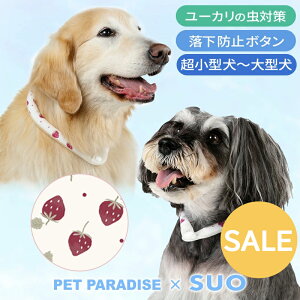 �Z�[�� �� �� �N�[�������O � 28���N�[�������O SUO ���^�� ���^�� ��^�� | �A�E�g���b�g sale �ԕi�����s�� ������ �N�[���l�b�N �{�^���t�� �����΍� �l�b�N�N�[���[ ��|�� �⊴�����O �J��