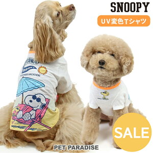 Z[ Xk[s[   t ĕ TVc UV Fς ^ ^ ^ r[` | AEgbg sale yԕisz ₷  킢 ybgEFA hbOEFA 