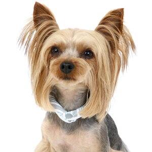 Z[  N[O Ђ 28 N[O SUO ySSz tN^[ Cgu[ x[W | AEgbg sale yԕisz ^   S  N[lbN {^t 