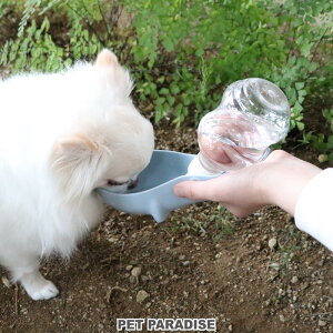 ybgp_CX 󂯎Mtgу{giu[j250mL |  L U hCu s擙  ł ̂ U ⋋ ΍ ^ 