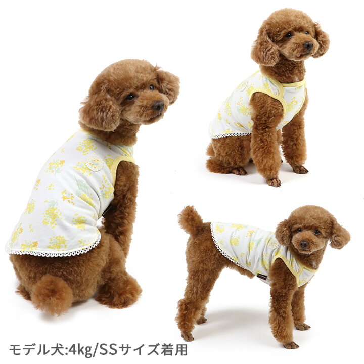 楽天市場】ペットパラダイス 犬 服 春夏 犬 服 春 タンクトップ 小型犬 