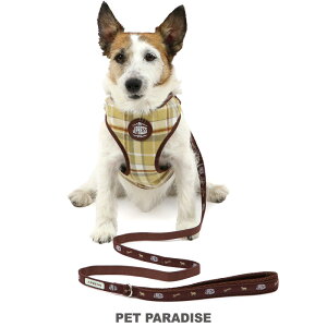  n[lX tl `FbN  J.PRESS n[lX[h | pn[lX ^ ^ bV ł o  킢 S ʋC