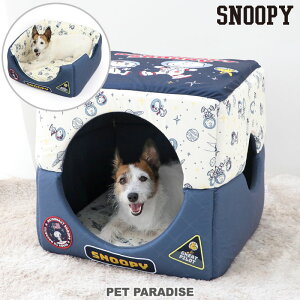 Xk[s[  xbh h[ nEX   lp NbV t AXg 2waynEX ^ ^ | Jh[  ybg xbg 킢    ybgnE