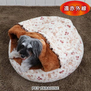 Z[  xbh fBYj[ 񕨌 fB ԊO ی^ Q (60cm) | AEgbg sale yԕisz  h ӂӂ  킢 {A ~ ~p L ybgxbh 