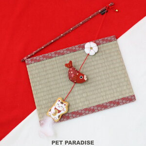 L  ˂炵 ܂˂L炵 | I` ߋ L 킢  CX^f ^s XgX