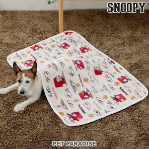 Xk[s[  ѕz ~p ˕ uPbg | ۉ g h 킢 