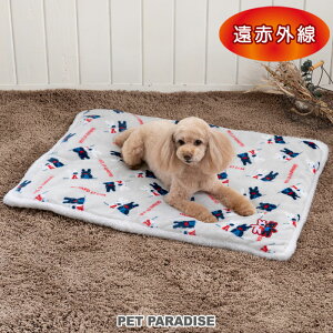 Z[ TƃKXp[  }bg ~p ԊO {A}bg (80×60cm) | AEgbg sale yԕisz j lp^ ^  킢 g  ۉ h h΍ L