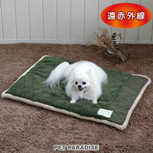  }bg ~p ԊO {A}bg (80×60cm) IjI | 􂦂   ybg xbh ~ 킢  