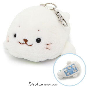 낽 [t pXP[X  ICJ[h [ pXP[X ʂ ʊw ʋ LN^[ ʂ L[z_[ 炵 AUV 킢 LN^[ v[