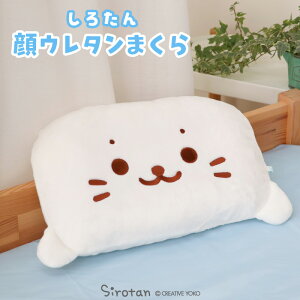 낽 ڂ ܂  29cm×43cm s낽 ʁtfB[X LbY q ܂ s[ Q xbh I[V[Y V 炵 AUV 킢 LN^[ v[