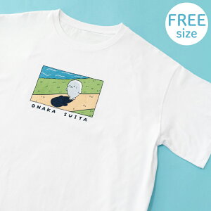 낽 rbOTVc  st F t[TCY tVc fB[X Y jZbNX jp  傫TCY JWA  炵 AUV L