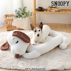 ybgp_CX Xk[s[  xbh  NbV | H~ Jh[ 炩 ۉ g h h΍  킢