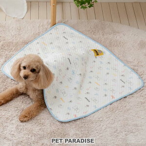 ybgp_CX fBYj[ _{  ѕz LeBO uPbg | 炩 킢 zc  h