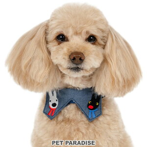 TƃKXp[   n[g  ݕt 2Way ^ | ł o U   킢 LN^[