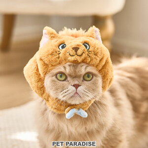 ybgp_CX fBYj[ Lbg L Xq gD[Y Ȃ肫   | 蕨 RX`[ ڂ S \ 킢 ˂ lR cat