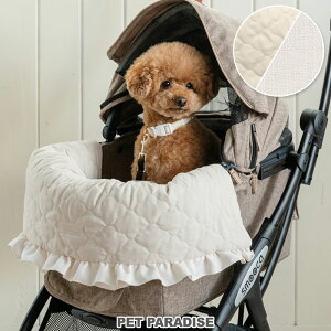  J[gp NbV i` LeBO J[g NbV o[Vu | t ̂ RtH[^[ J[gANZT[ oM[pNbV K o| A Lv 