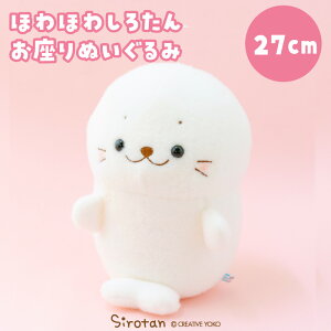 낽 قق킨ʂ 27cmʂ }XRbg ʂ }XRbg   l`   炵 AUV 킢 LN^[ NX