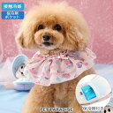 ディズニー ヤングオイスターズ 犬 服 春 夏 フリル クール バンダナ 小型犬 | ピンク 保冷剤 ひんやり ネッククーラー 首元 犬の服 暑さ対策 涼感 冷却 おしゃれ