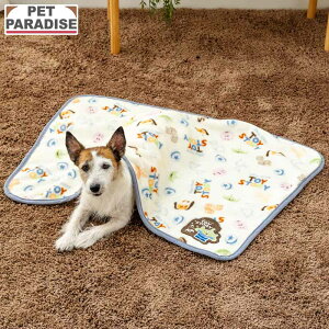 fBYj[ gCEXg[[  ѕz ~p  {A uPbg | ۉ g h 킢  zCg