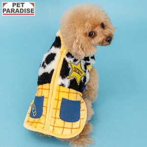 fBYj[ gCXg[[   ~ EbfB WbvxXg ^ | wJ ₷ uh JWA  킢  CG[