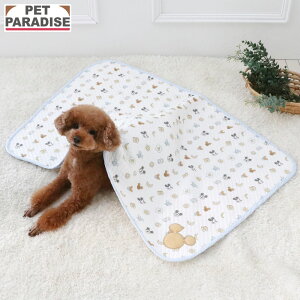 fBYj[ ~bL[}EX  ѕz ~ p uPbg | zCg ۉ g h 킢 