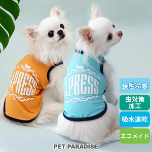 J.PRESS yIŴ݃Z[z   ĕ N[ ڐG⊴ GRbV S ^Ngbv u[ IW ^ ΍ | AEgbg sale yԕisz z  GR bV 
