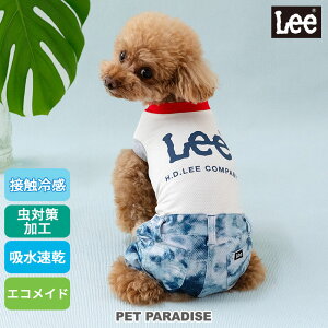 Lee   ĕ N[ ڐG⊴ GRbV u[` p[X ^ ΍ | LO1ʓ pc Ȃ ΍ z  GR bV ₷ N[}bNX GRC