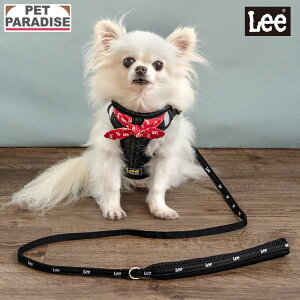 Lee  n[lX [vmbg XJ[t  n[lX[h ^ |  S S ̖h~ ł o U   킢 ubN