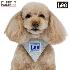 Lee    o_i ^ | o[Vu 2Way ł o U   킢 qbR[