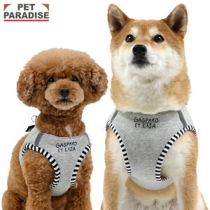 TƃKXp[  n[lX GbtF xXgn[lX ^ ^ |  S S ̖h~ ł o U   킢 O[