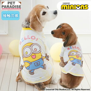 �y�y�b�g�p���_�C�X�����z �~�j�I�� �{�u �� �� �� �ĂȂ� T�V���c ���^�� ���^�� ��^�� | ���b�V�� �C�G���[ �ڐG�⊴ �N�[�� �u�����h �J�W���A�� ������� ���킢�� ����������