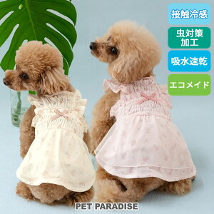   ĕ N[ ڐG⊴ GRbV ԕ s[X sN CG[ ^ ΍ | LO1ʓ ΍ z  GR bV ₷ N[}bNX GRCh 