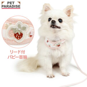   [ht  ^ | ̌^ ł o U   킢 sN