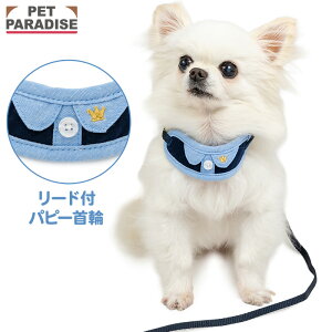   [ht Vc ^ | ̌^ ł o U   킢 lCr[