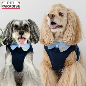  n[lX ݕt xXgn[lX ^ ^ | ł o U   킢 lCr[