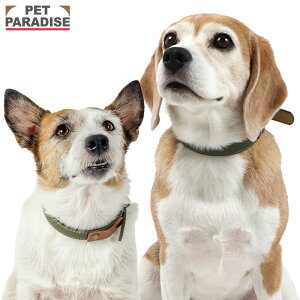    J[L Xeb` ^ ^ | ł o U   킢