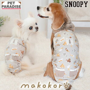   ~ makokoro 񂿂 }i[I[ ^ ^ | R hL _炩 Ic ނ p㕞 Tj^[ VjA V  ps[ }i[xg }i[pc x[W