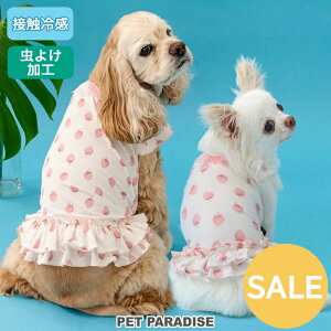 Z[ ĕ   N[ ڐG⊴ 䕕 TVc ^ ^ ^ ΍ | AEgbg sale yԕisz sN z  ΍ ^b`vX  킢 
