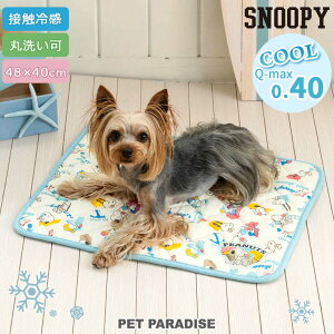 Xk[s[  N[ }bg  i48×40cmj ACX _}bg ^ | lp  Ђ ڐG⊴ ybg ėp L ybgxbh  􂦂  p LN^[ 킢